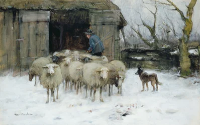 Sheep on a Winter